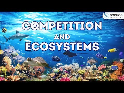 Competition and Ecosystems