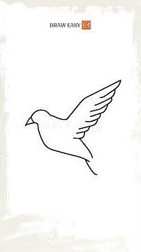 How to Draw a Dove | Dove Drawing Animated Tutorial | Draw Easy