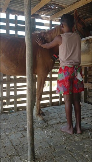 Achieving New Body Goals with Horse Riding