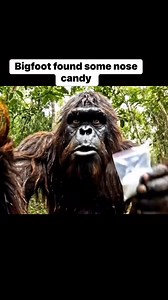 Bigfoot found some nose candy #fypageシ #facebookviral #bigfoot #usa | RICO animation