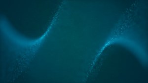 Hammerhead Videos: Download 3+ Free 4K & HD Stock Footage Clips - Pixabay