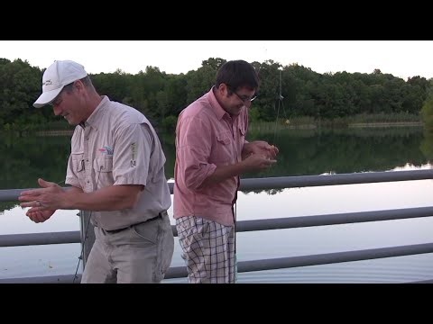 Boatless angler - shore fishing in a quarry for tiny rock bass and tiny bullhead catfish