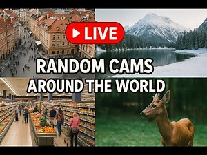 🌍 LIVE: Watch Random Cams Around the World – Cities, Nature, Animals & More! 🌎