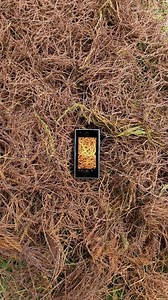 Feel the superior screen quality of Samsung mobile phones #digital technology #Samsung | Trendy Tech Review