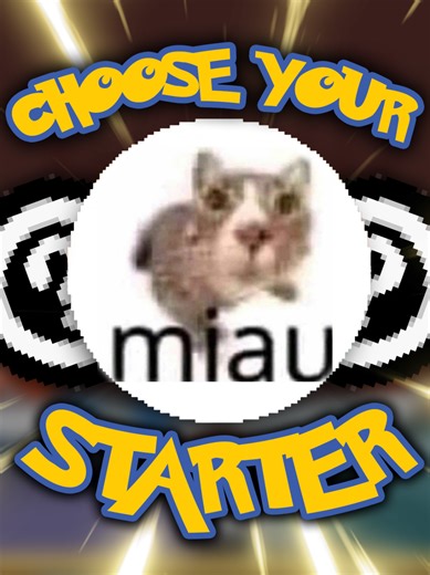 Which Starter Cat Pokemon are You Choosing? (88th edition) Vote in the Poll or Comment Down Below! #pokemon #pokemonmemes #pokemonedit #catmemes #funnycats