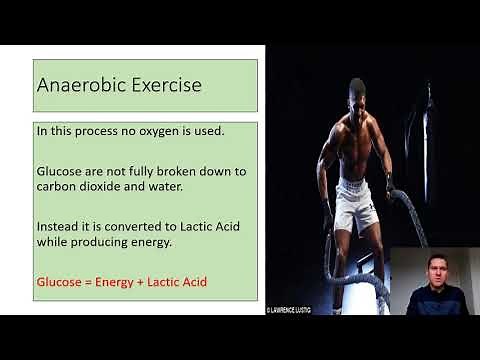 Aerobic and Anaerobic Exercise GCSE PE