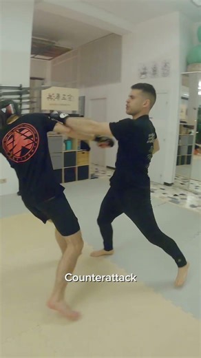 Counterattack Timing | Self Defense Reality #selfdefense #counterattack #kungfu