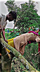 4.9K views | #TIMElAPSE Remix START to FINISH Alone BUILD LOG Cabin...