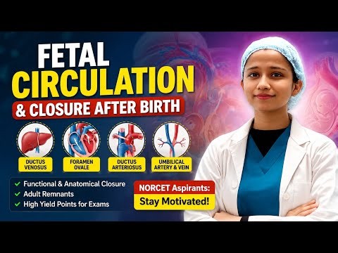 Fetal Circulation Made Easy | Functional & Anatomical Closure After Birth! Iram fatima #norcet