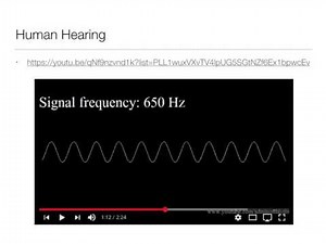 Perception: 9.1 Sound