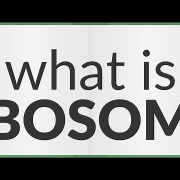 Bosom | meaning of Bosom