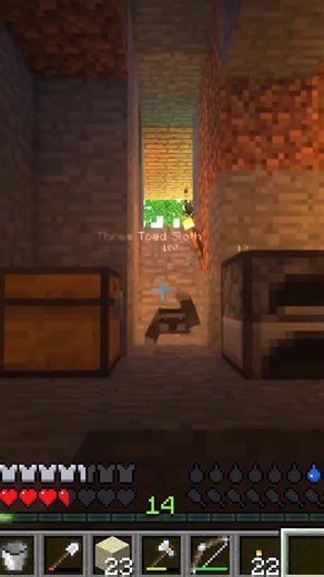 Naming My Sloth in Minecraft - Labo Nabo Adventures