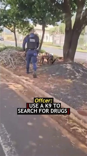 Veteran Police Officer BUST Drug Dealers