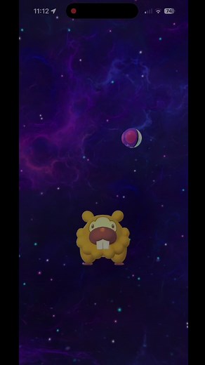 Master Ball Tips for Catching Bidoof in Pokémon