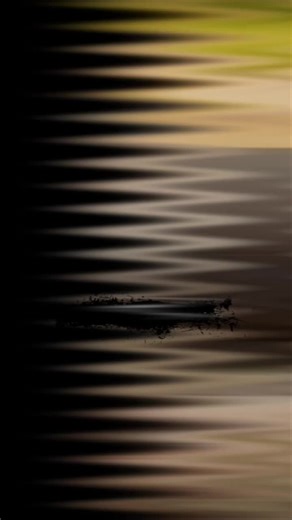 Captivating Moments with Cute Girls on TikTok