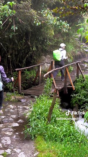 Discover the ultimate hiking adventure with Alpaca Expeditions on the iconic Inca Trail! 🏔️ 🌟Step into the heart of Peruvian history! Traverse ancient stone paths surrounded by towering peaks, lush cloud forests, and breathtaking valleys. Explore stunning archaeological sites like Wiñay Wayna and Intipunku (the Sun Gate), leading to the majestic Machu Picchu. 🏕️ With top-tier camping gear, expert guides, and exceptional service, Alpaca Expeditions ensures an unforgettable journey. 👉 Book you