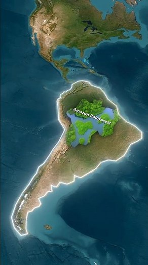 Interesting fact about Amazon Rainforest!! #amazonrainforest