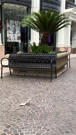 6.6K views · 25 reactions | Step Into All New Fall Looks ⁠  Kimberly Utility Jacket⁠  Make You Stay Wide Leg Pant ⁠  Alena Slingback Pumps ⁠  Stand For Something Faux Suede Shoulder Bag⁠  Too Confident Faux Leather Mini Dress | Fashion Nova | Facebook