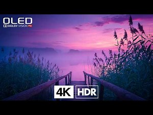 REAL 4K HDR 60FPS Dolby Vision | Unmatched Clarity