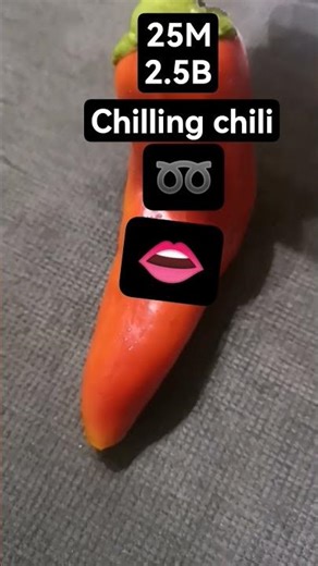 wanted to say chillin chilli