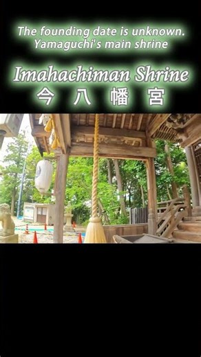 [History] [Japan] The guardian deity of Yamaguchi "Ima Hachiman Shrine" ⑩ #shorts