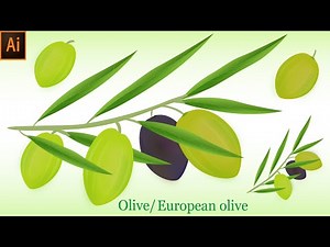 Olive Realistic Vector Drawing With Tree Step By Step Full Tutorial By illustration learning