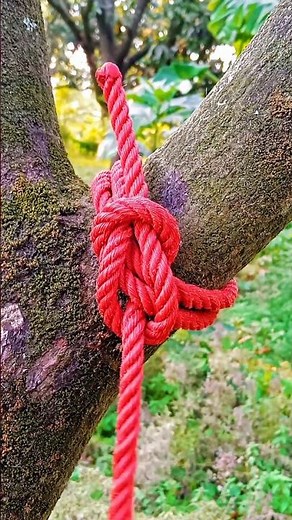 How to Tie a Strong and Secure Knot Around a Tree Branch