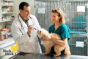 Veterinary Technology AAS - Black Hawk College