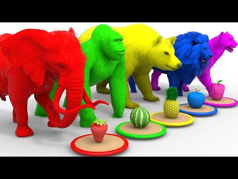 Learning Colors with Rainbow Animals & Fruits | Fun Educational Video