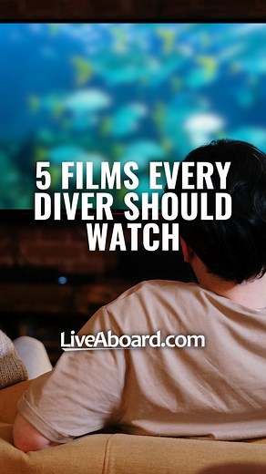 LiveAboard.com | 🎬 Scuba divers and ocean lovers—this one is for you! These 5 must-watch films capture the spirit of underwater exploration. 🌊💙 Ideal for... | Instagram