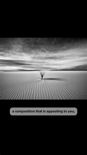 Andy Katz's Photo Composition Tip | Alpha Camera Academy Short