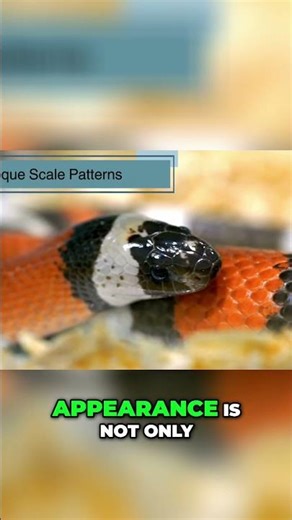 Amazing Snake Venom & Scale Secrets Revealed! #shorts