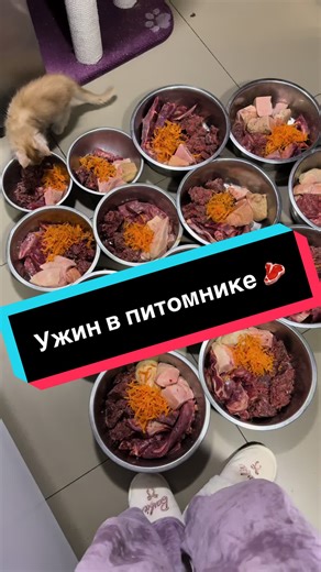 Відео користувача Infinity Glory 🇺🇦 (@infinity_glory_family) з композицією «оригинальный звук - nuriabisheva»