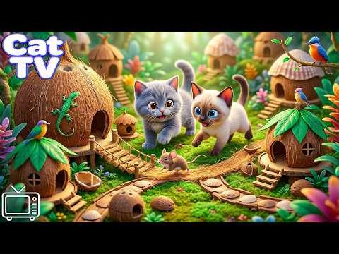 12 Hours Cat TV for Cats to Watch 😸 Cartoon for Cats to Relieve Stress + Fun & Relaxing Cat Music