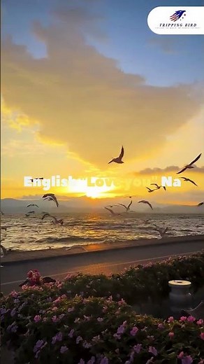 Your Dream Vacation Starts Here! Customized Travel Packages | Tripping Bird # #travelshorts# #shorts