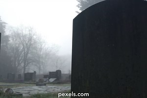 Memory Card Videos, Download The BEST Free 4k Stock Video Footage & Memory Card HD Video Clips