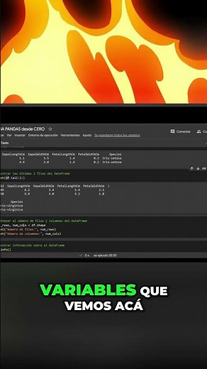 Reveal Hidden Dimensions of Your DataFrames in Seconds!