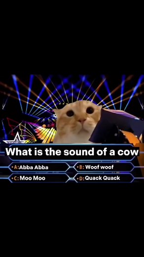 Moo | 𝙔𝙤𝙪𝙧 𝙇𝙤𝙘𝙖𝙡 𝙆𝙝𝙧𝙖𝙥𝙤𝙨𝙩𝙚𝙧