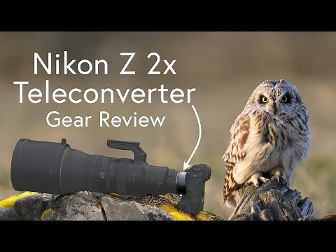 Nikon Z 2x Teleconverter - Gear Review for Wildlife Photography