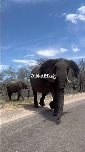 Groepsreis Zuid-Afrika #europa #travel #summer #traveltips