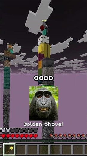 Minecraft pillars