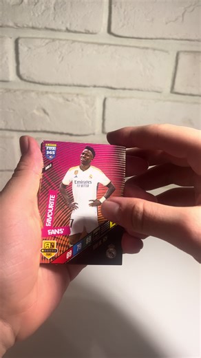 Ultimate Panini Football Card Collection
