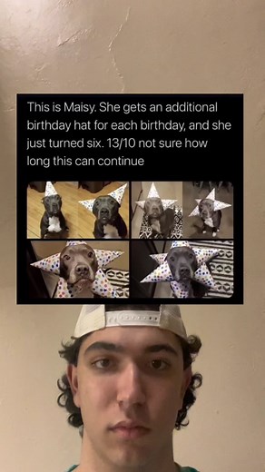 Maisy's Birthday Bash: Celebrating Six Fun Years