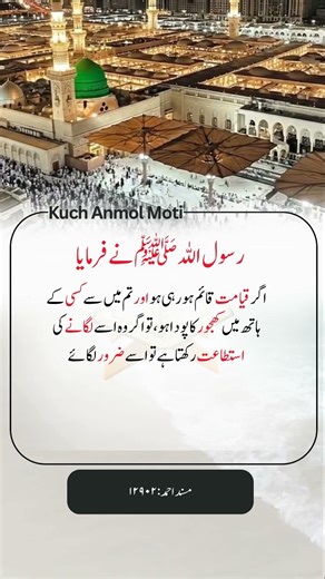 رسول اللہ صلی اللہ علیہ والہ وسلم نے فرمایا! (Musnad Ahmad: 12902)
