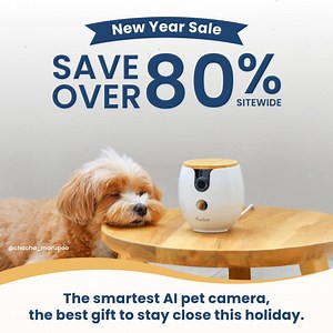 A fresh start for pet parents. The all-new Furbo Mini 360° helps you check in, talk, and keep them in view in 2K QHD even when you’re out. Save 80% today. | Furbo Pet Camera