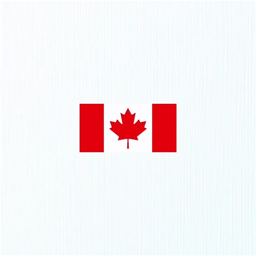 Canada 🇨🇦 #canada #fyp #viral #blowthisup #fypシ | canada flag