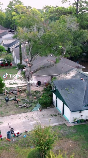 When it comes to tree care, one company stands above the rest - JRP Tree services! 🌳🌿 With their unparalleled expertise and commitment to the environment, they have earned the reputation as the best tree company in the industry.#TreeCare #Arborists #EnvironmentallyFriendly #CustomerSatisfaction#htx