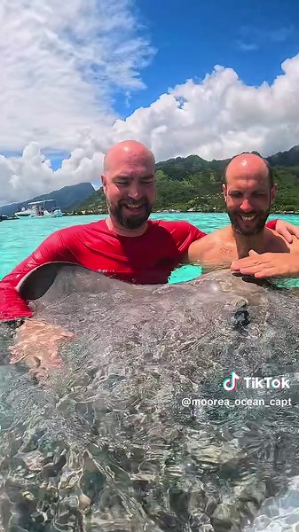🌊📸 Ia ora na ! Bienvenue dans notre univers ! 🦈✨ Tu rêves d’une photo incroyable avec les raies et les requins de Moorea ? Un moment magique, sauvage, et 100% inoubliable ? 😍 👉 C’est exactement ce que nous te proposons ! Nous sommes deux photographes passionnés, spécialisés dans les rencontres uniques avec les raies et les requins dans le lagon de Moorea 🐠💙 Notre objectif ? Capturer TON moment, celui que tu raconteras toute ta vie. 🔥 Que tu sois aventurier, en couple, en famille ou entre