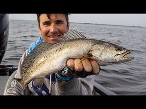 Lake Decade Speckled Trout: How I Catch 'Em in Dularge, Louisiana