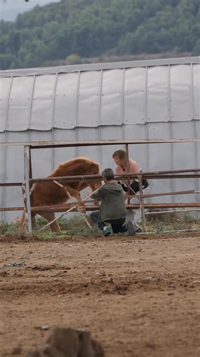 Yvet Blokesch on Instagram: "Watch now: A very special Christmas story at the Academy ✨😍🙏🏼🐎❤️🍿👉🏼 featherlightacademy.com/xmas2025 (link in bio) This Christmas, the On Tour Problem Solving Series brings a really special story that touched me in many ways. We travelled to Greece after a rescue centre reached out to me because they were in need of urgent help. There are 43 horses living at the centre, but only about five of them can be touched. All the others are completely untouchable, but 